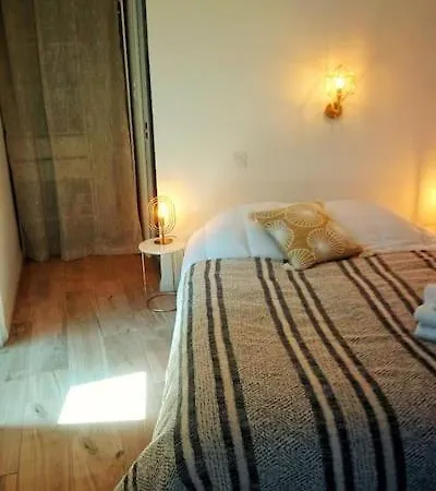 Apartamento Emplacement N°1+terrasse Vue+cité+trivalle+clim