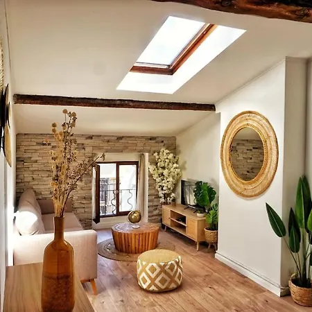 Emplacement N°1+terrasse Vue+cité+trivalle+clim Carcasona